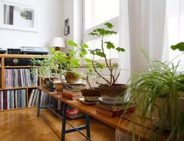 再也不需買肥料了!在家就可以「自製植物營養液」,輕鬆製作又方便,「水果皮」再也不要扔了