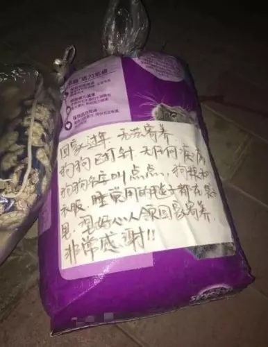 兩隻流浪狗即將安樂死,互相擁抱作別,場面讓人淚哭