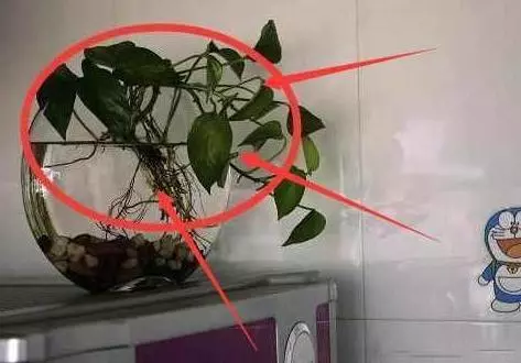 家居風水你必須要了解的常識冰箱上亂放東西會窮得哭!