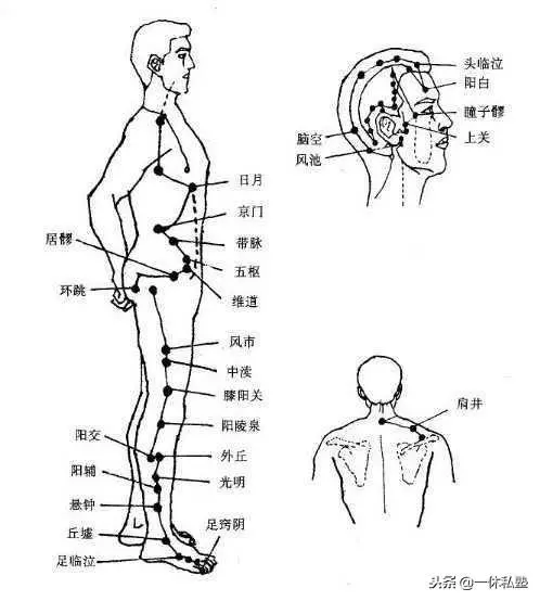 膽經大藥房——從上至下,按摩這些穴位消除疾病,立竿見影
