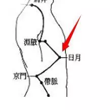 膽經大藥房——從上至下,按摩這些穴位消除疾病,立竿見影