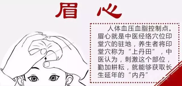 打開此處,高血脂、血壓、腦供血等問題就迎刃而解