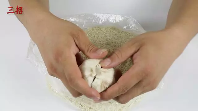 大米愛生米蟲怎麼辦?米蟲最怕它,米袋子中放上1小塊,一年都不容易生蟲子!