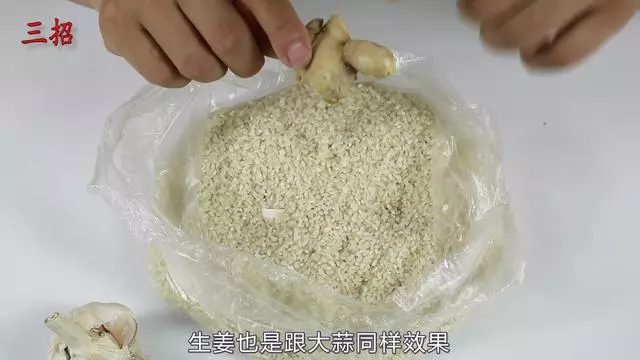 大米愛生米蟲怎麼辦?米蟲最怕它,米袋子中放上1小塊,一年都不容易生蟲子!
