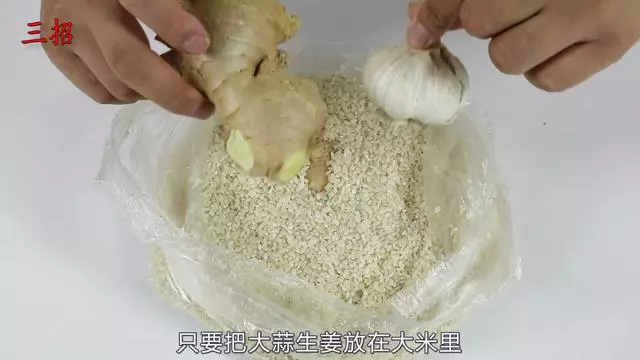 大米愛生米蟲怎麼辦?米蟲最怕它,米袋子中放上1小塊,一年都不容易生蟲子!
