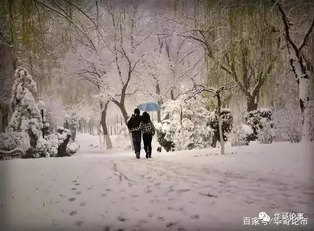因果十二條 條條我都信 不是迷信而是哲理