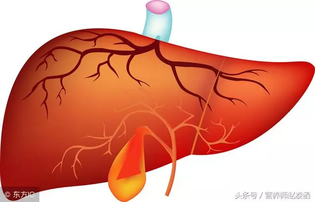 長期肝不好,多病易衰老!最全護肝食材,天天給肝「洗個澡」