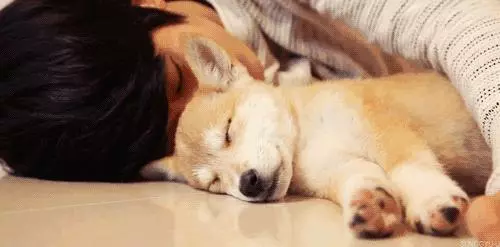 美國專家:這個時間點睡覺的孩子,長大後身高和智商都會遠遠高於同齡人!