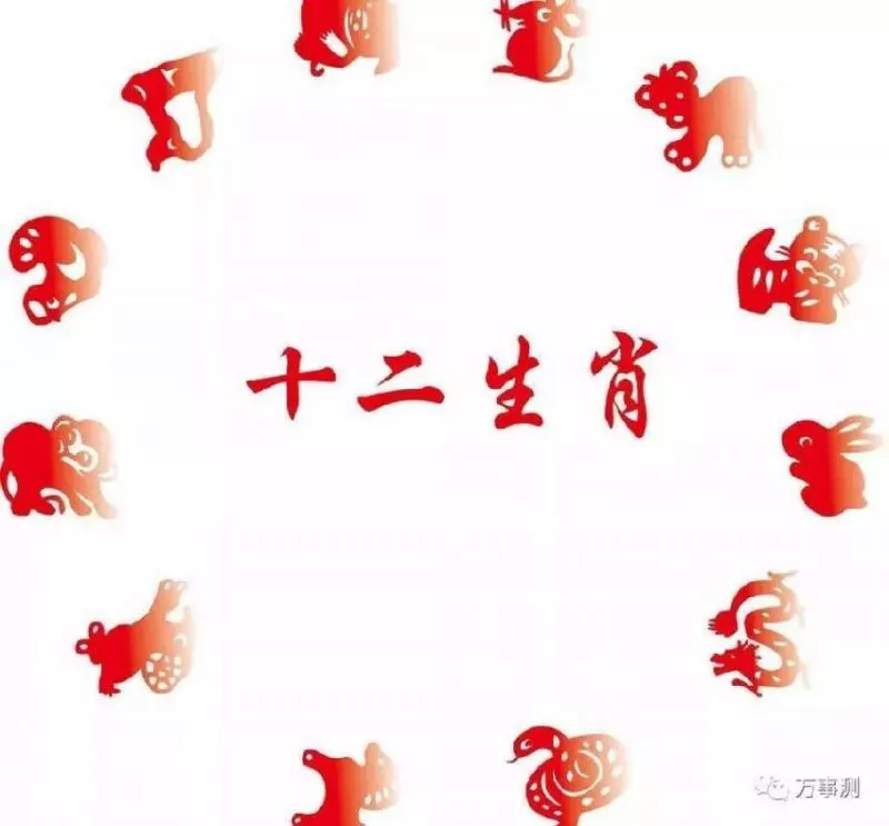 2019生肖運程完整版新鮮出爐!屬相豬、蛇、猴要注意...,搶先看 !