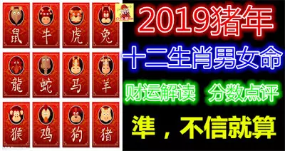 2019豬年十二生肖男女命財運解讀,分數點評。準,不信就算!