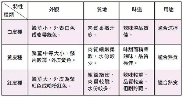 洋蔥防骨鬆、抗感冒 吃時注意3點禁忌