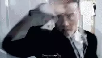 讓蔡少芬變成炫夫狂的男人, 張晉究竟有多帥