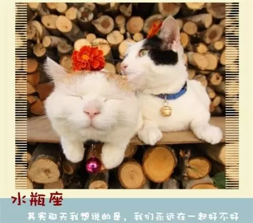 十二星座永遠不會說的心裡話!