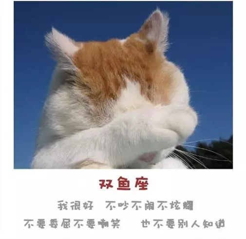 十二星座永遠不會說的心裡話!