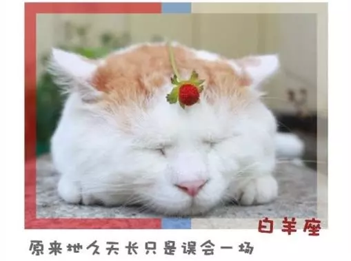 十二星座永遠不會說的心裡話!