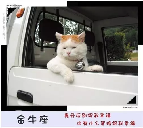 十二星座永遠不會說的心裡話!