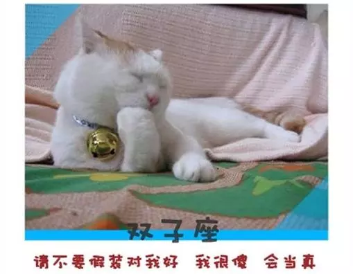 十二星座永遠不會說的心裡話!