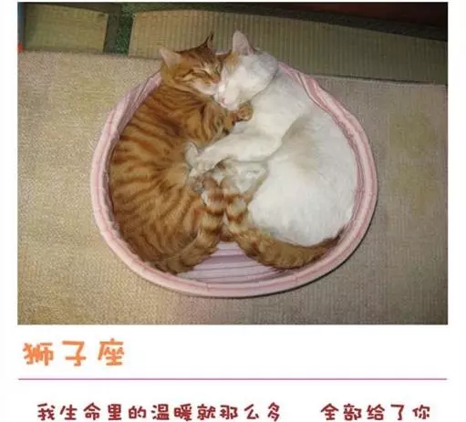 十二星座永遠不會說的心裡話!