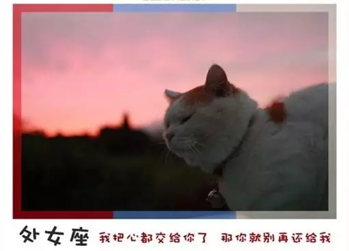 十二星座永遠不會說的心裡話!