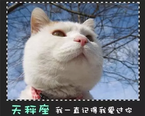 十二星座永遠不會說的心裡話!