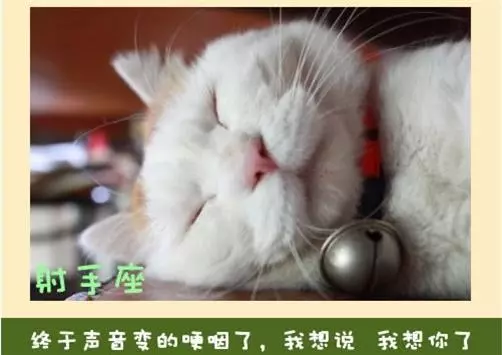 十二星座永遠不會說的心裡話!