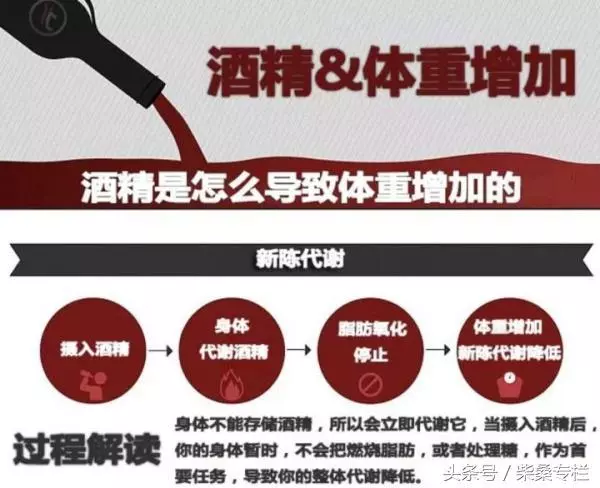喝酒,到底是養生還是傷身?告訴你酒的這三個真相,從此懂喝酒