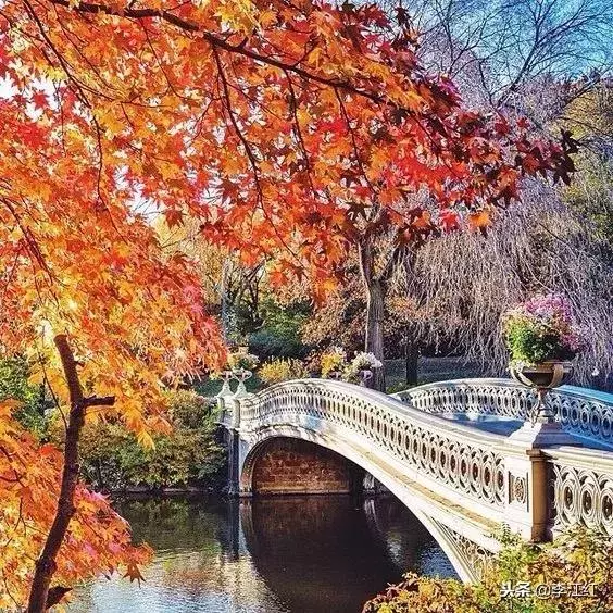 2018最火的10大旅遊地曝光!外國網紅都去這裡拍照打卡!