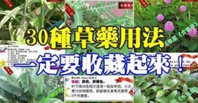 30種草藥簡訊!!必要收藏起來!!!