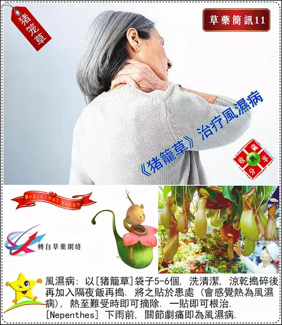 30種草藥簡訊!!必要收藏起來!!!