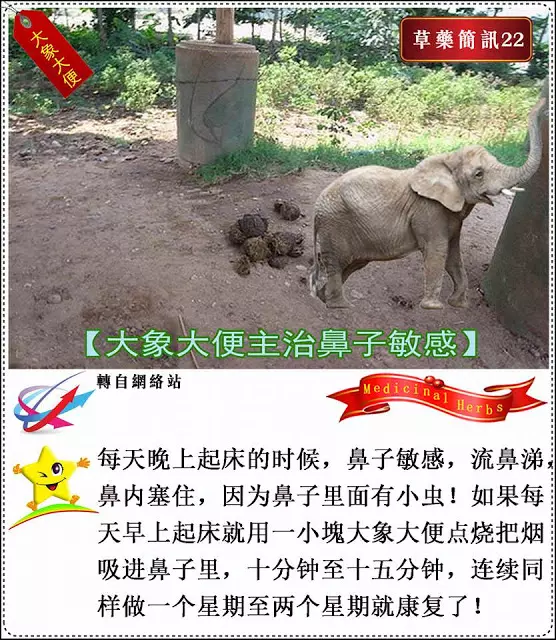 30種草藥簡訊!!必要收藏起來!!!