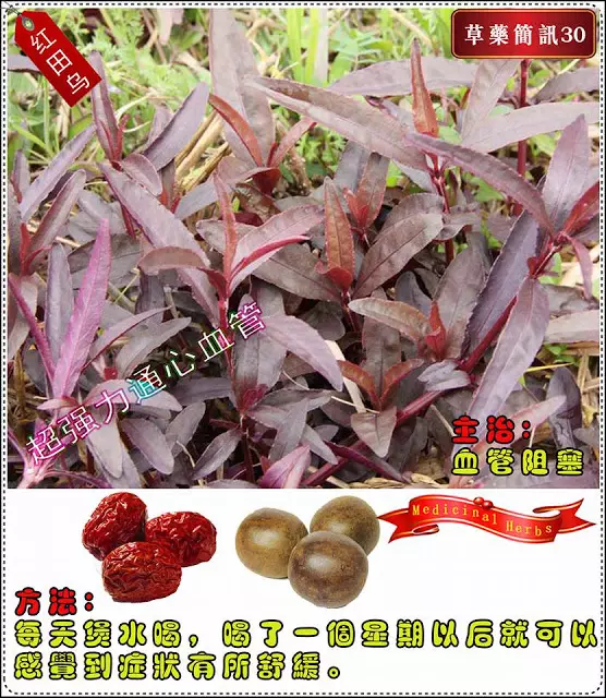 30種草藥簡訊!!必要收藏起來!!!