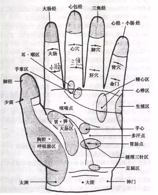 白髮變黑髮的小技巧,每天按摩小指50次,不用去染髮!