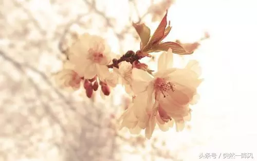 小姑子考出好成績,我送8000紅包賀喜,回家收到小姑子錯發的消息