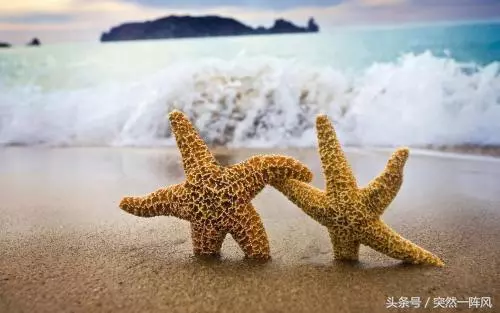 婆婆照顧我坐月子,無意聽到她的話心裡一陣難受,覺得自己很過分