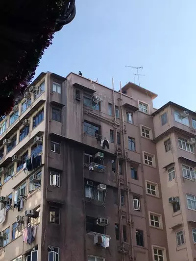 怪客天台撒錢 逾百途人哄搶 !