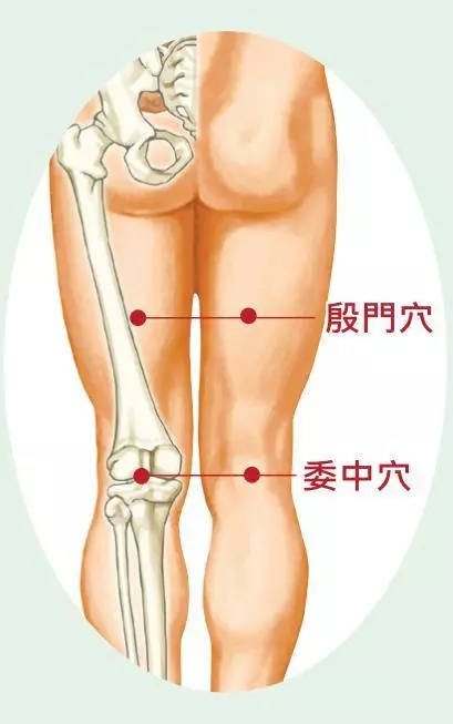 「坐骨神經痛」全是「經絡閉阻」惹的禍:「四穴道」這樣按,舒筋活絡、氣血暢通,下半身強健沒煩惱!