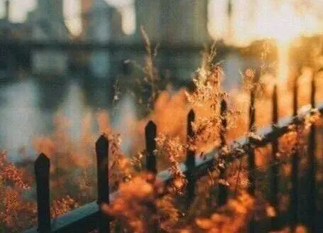 一生一世一雙人三餐四季一輩子 , 人生匆匆,世事無常,一切皆平常