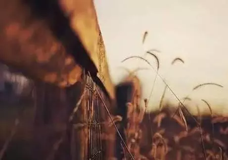 一生一世一雙人三餐四季一輩子 , 人生匆匆,世事無常,一切皆平常