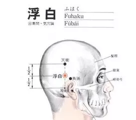 頭部藏著一個「黑髮劑」, 每天按2次「這個穴位」,一月生黑髮,白頭髮黑起來