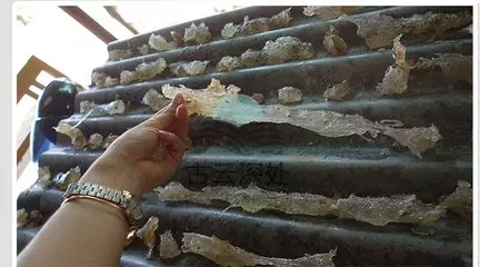 糖尿病別擔心, 6種鹼性幫你控制血糖!促進胰島素產生,讓血糖穩定在6.9
