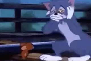 長大後再看《貓和老鼠》,才發現裡面全是人生
