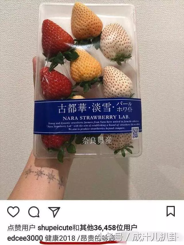 陳冠希家裡到底多有錢?女友隨手PO了「這一張水果照」網友嚇傻:這才是土豪!