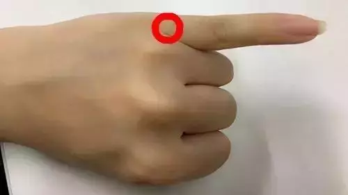 手部有6 條經脈循行,每週一次,身體百病不侵!
