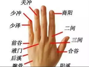 手部有6 條經脈循行,每週一次,身體百病不侵!