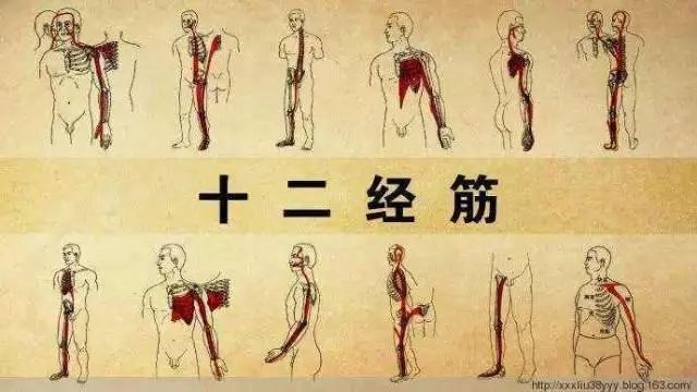 「中醫獨門拉筋法」在家就可以自己拉筋,讓你身上的筋結散和除百病