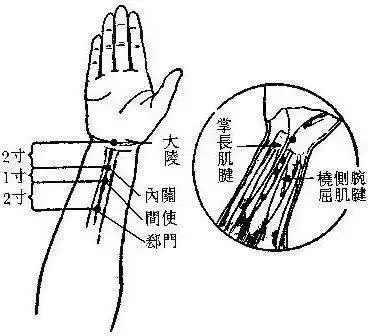 39個單穴治病詳解!