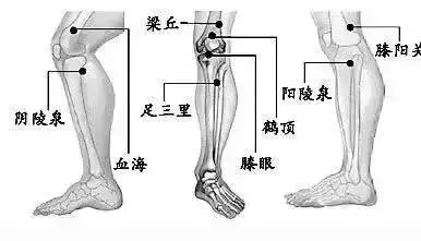 39個單穴治病詳解!