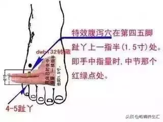 各種腹瀉,只需按摩一穴