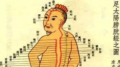 人體最大排毒通道可排除體內致病五積(氣、血、痰、食、水)