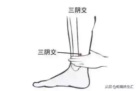 失眠?一閉眼全是夢?按按這3個穴位